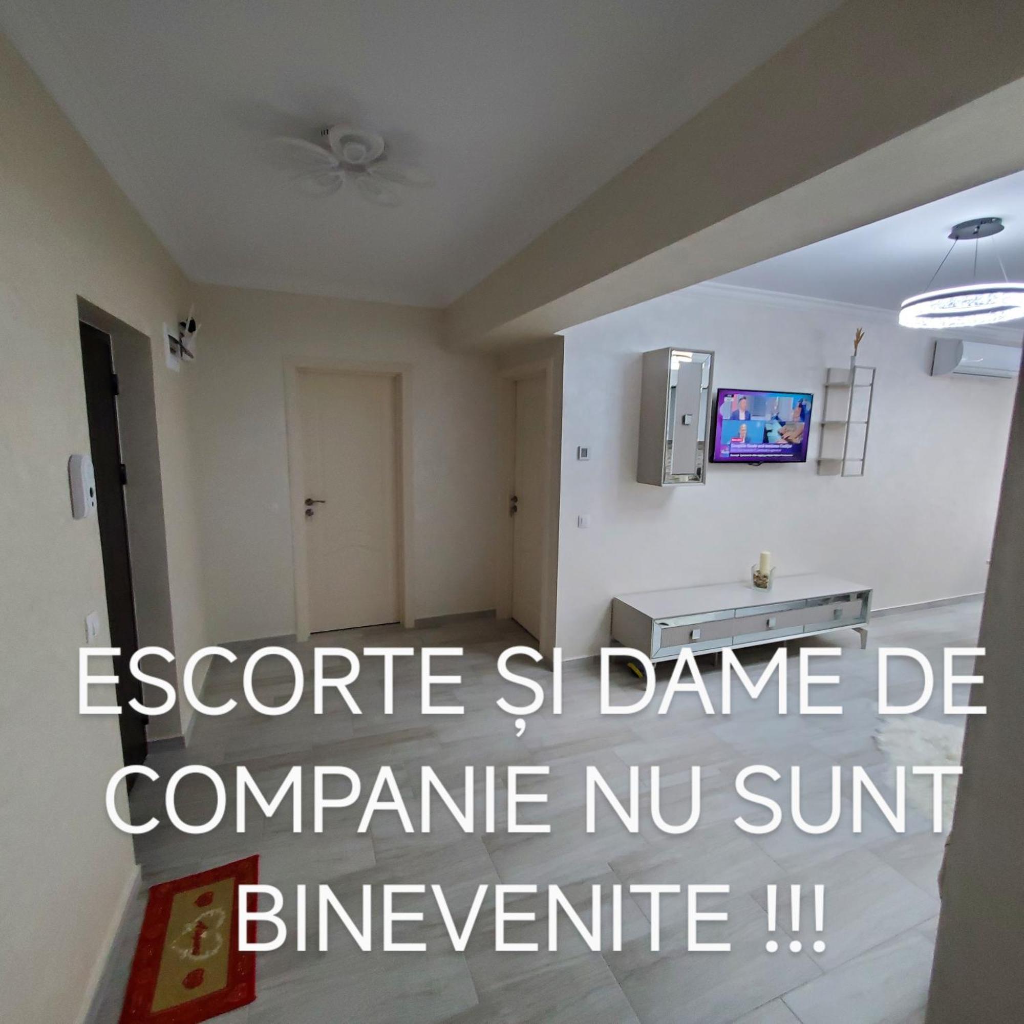 Luxury Apartament Bacovia Bacău Exterior foto